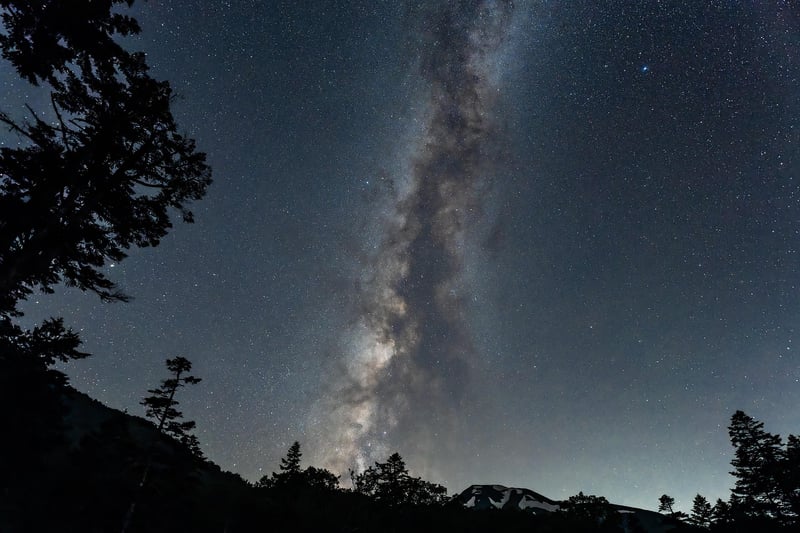 Constellation Seeds