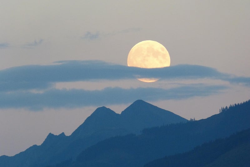 Moon Phase Backdrop